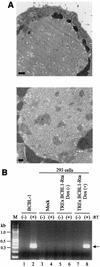 FIG. 8.