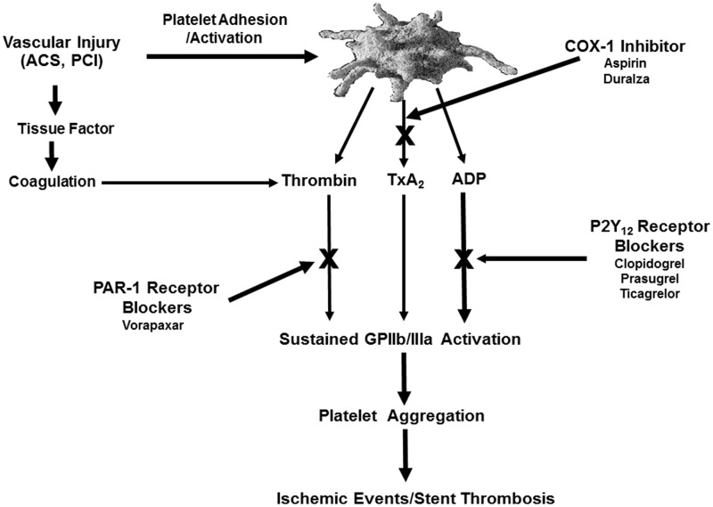 Figure 1.