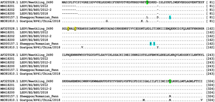 Fig 6