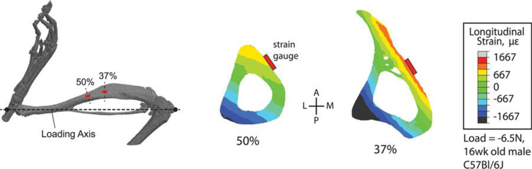 Figure 3: