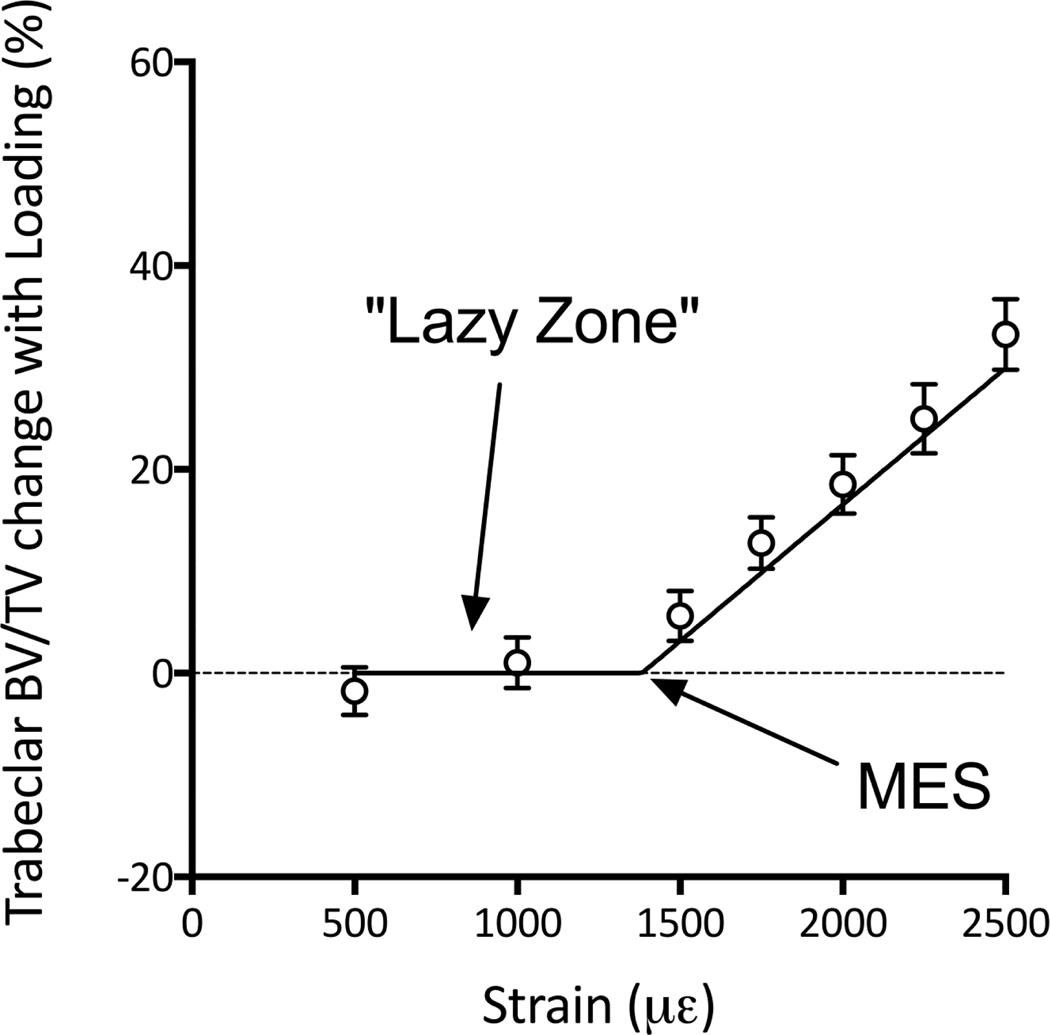 Figure 7: