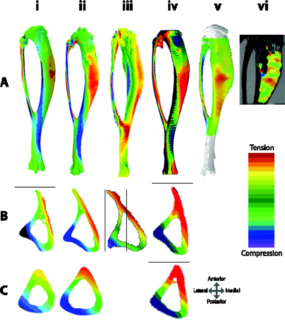 Figure 4: