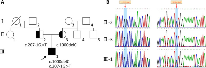 Fig. 1