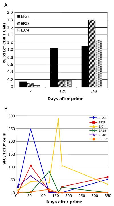 FIG 6