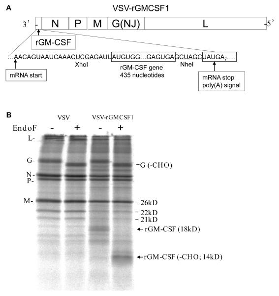 FIG 1