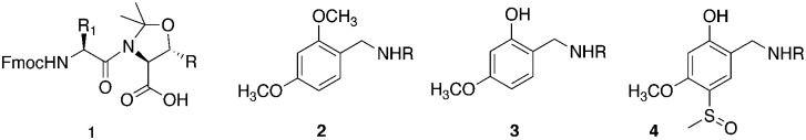 Scheme 1