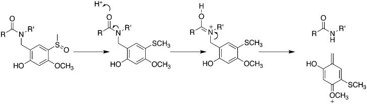 Scheme 3