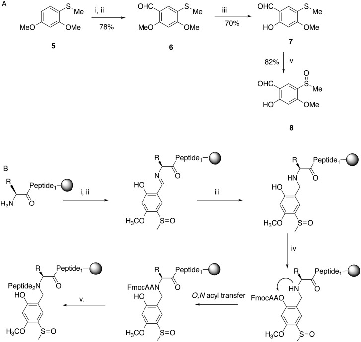 Scheme 2