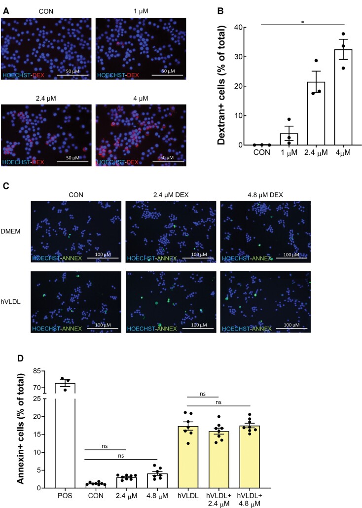 Figure 6