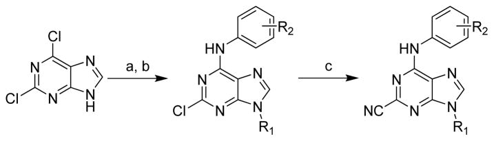 Scheme 2