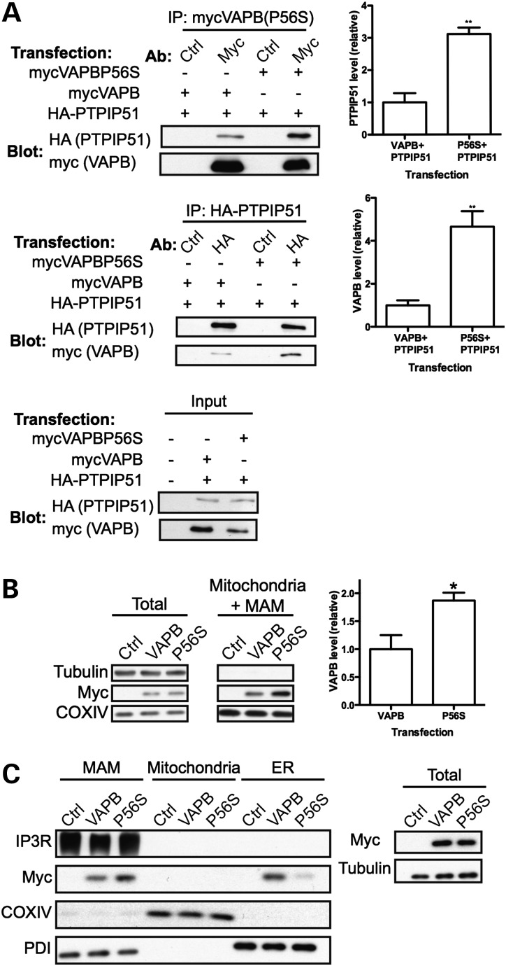 Figure 6.