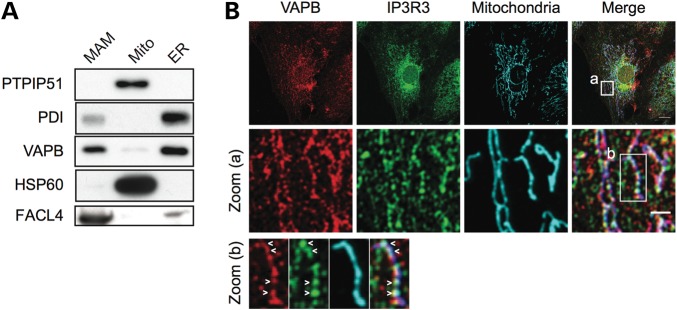 Figure 3.