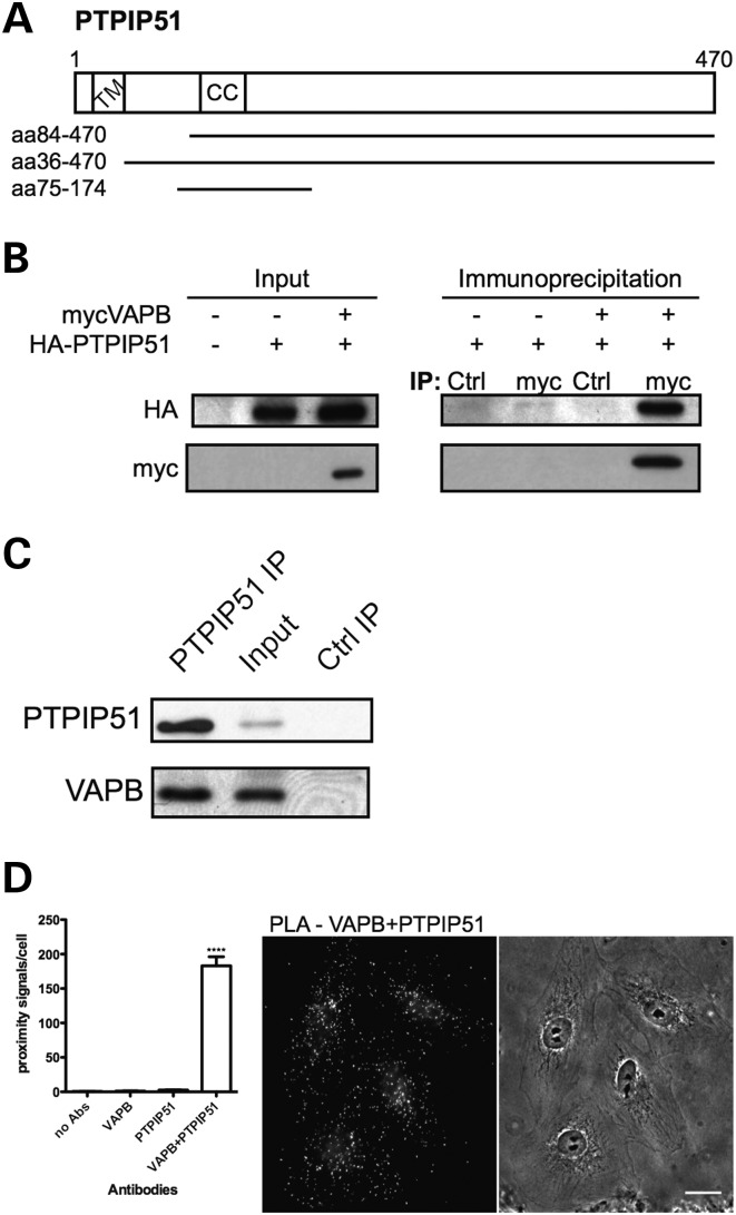 Figure 1.