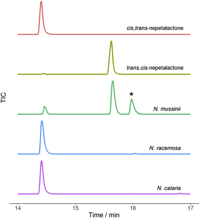 Fig. 2