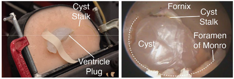 Fig. 9: