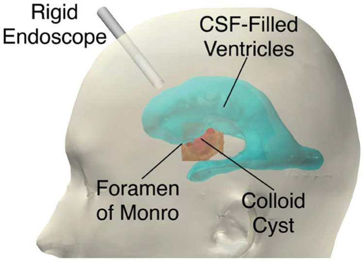 Fig. 7: