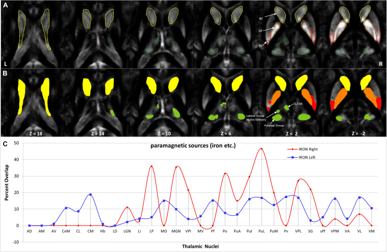 FIGURE 11