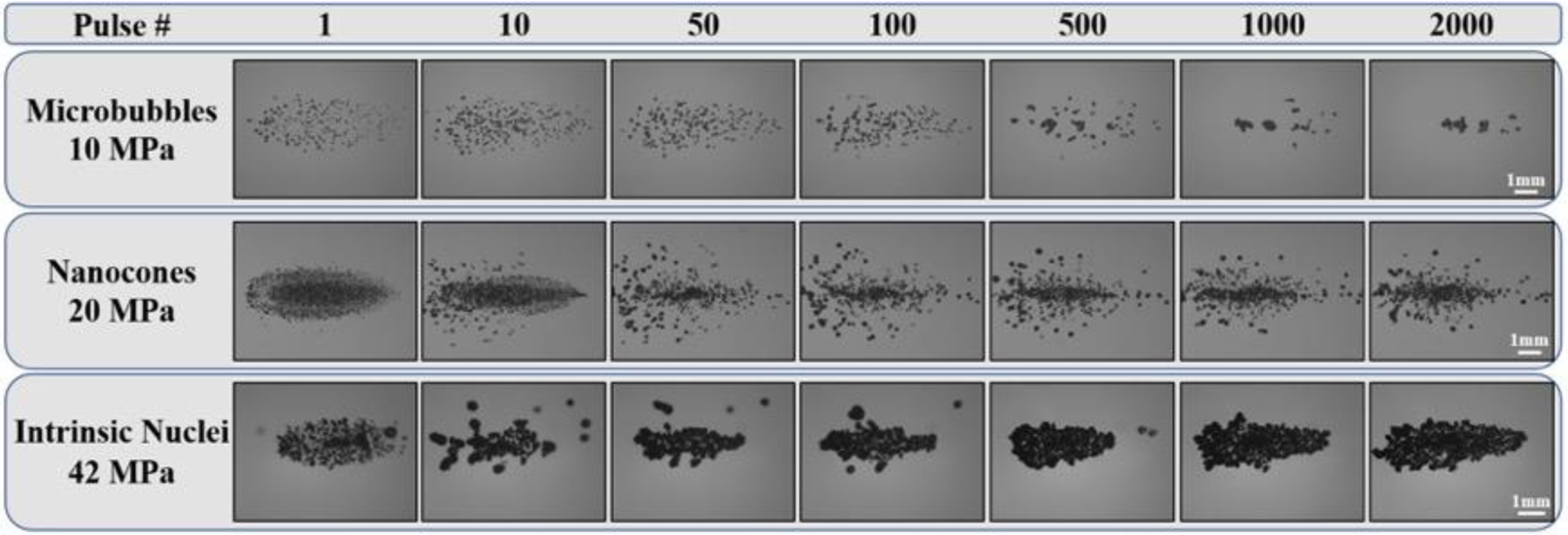 Figure 9: