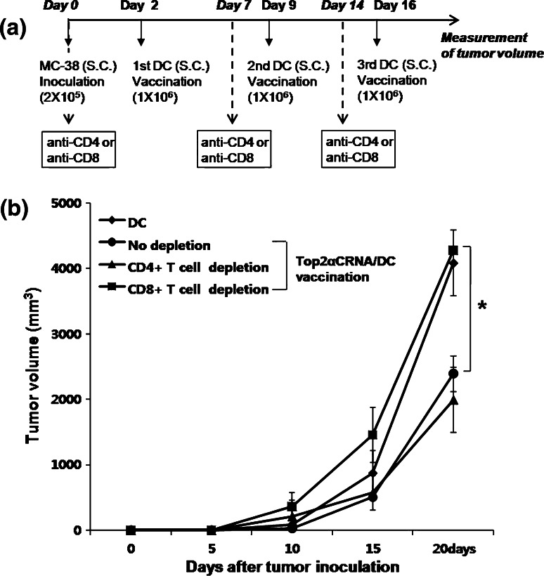 Fig. 6