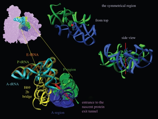 Figure 3.