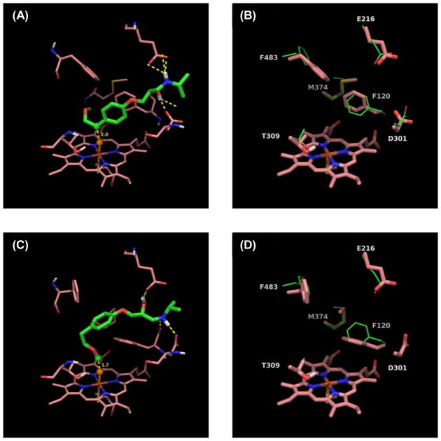 Figure 17