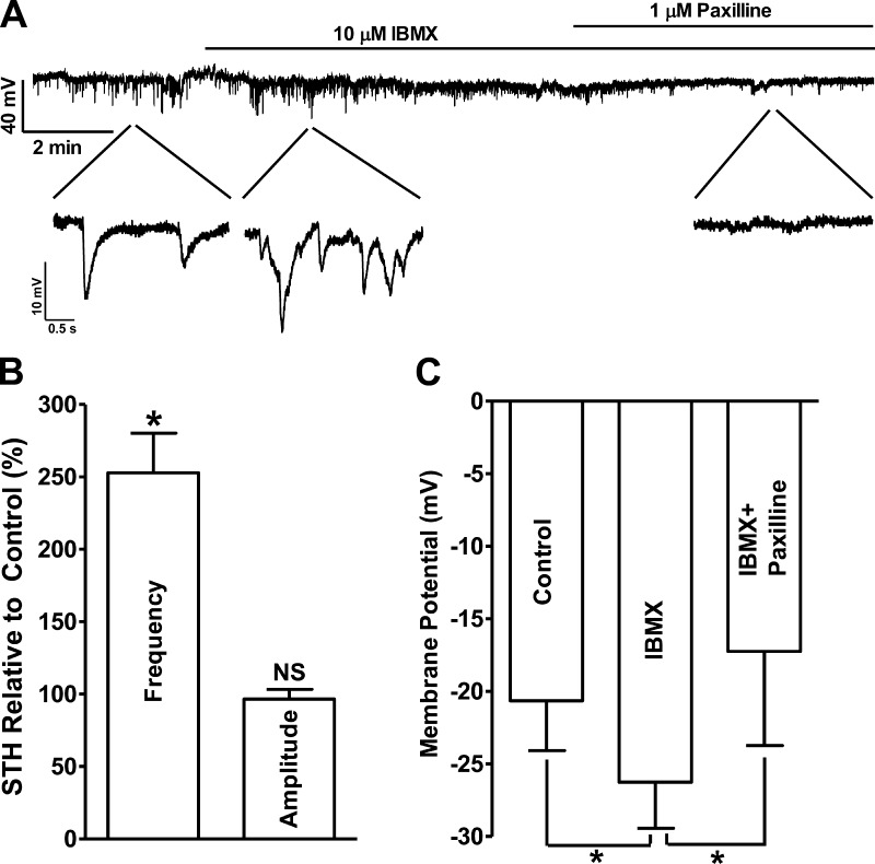 Fig. 2.