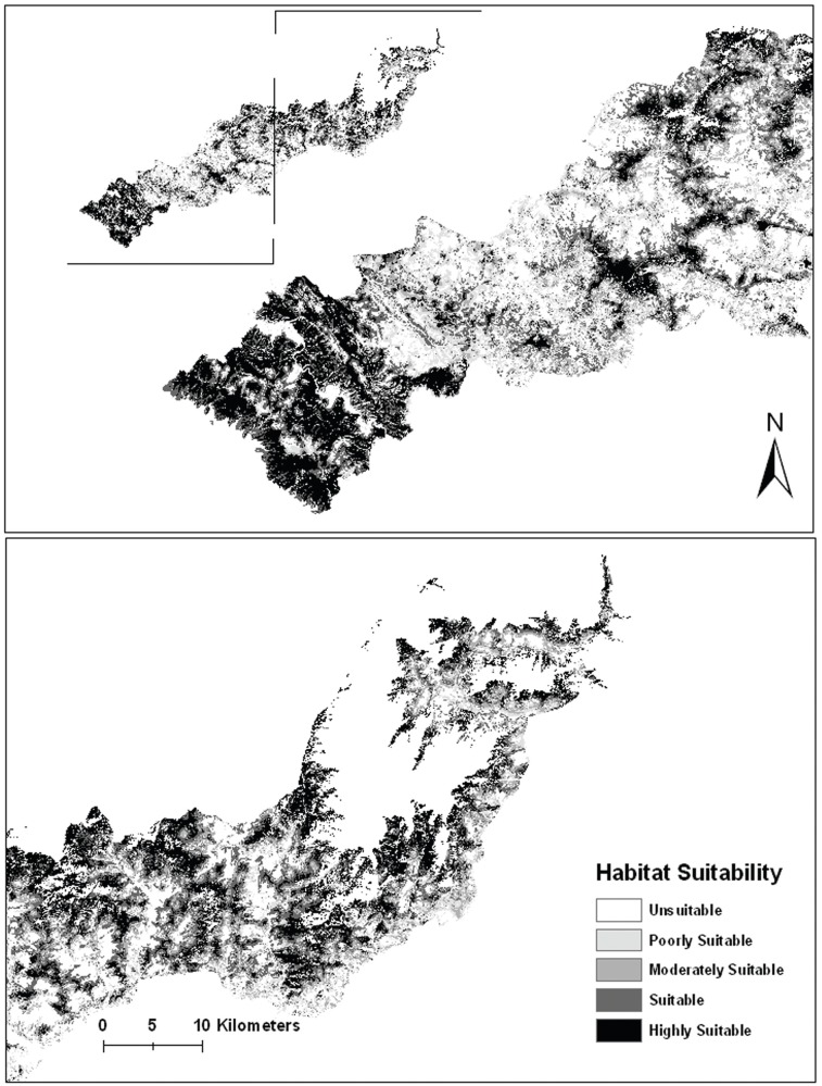 Fig. 3.