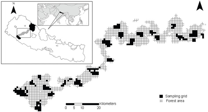 Fig. 1.