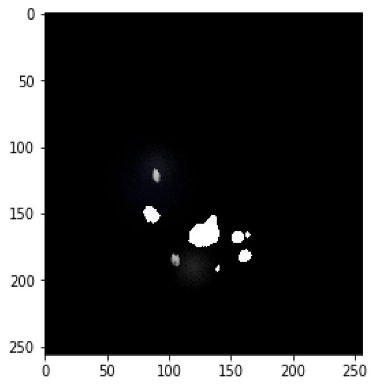 Figure 7