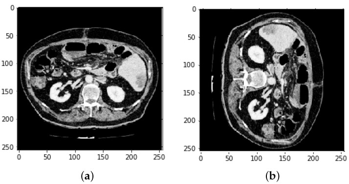 Figure 10