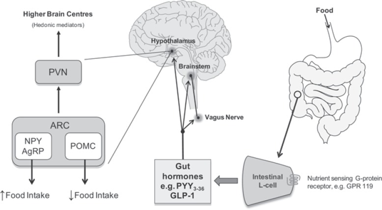 Figure 1.