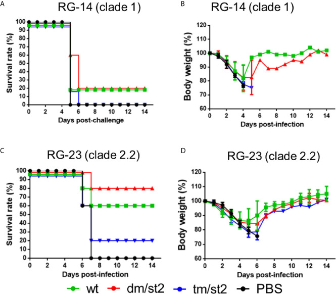 Figure 6