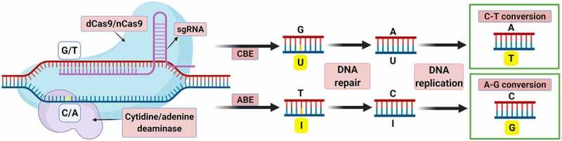 Figure 6.