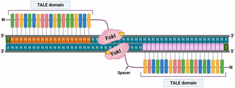 Figure 4.