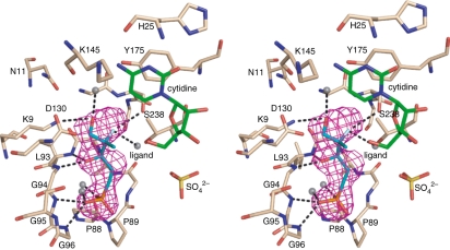 Fig. 10