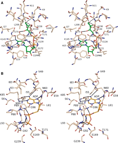 Fig. 9