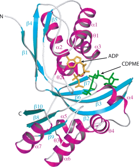 Fig. 6