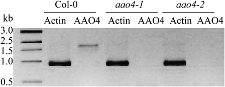 Figure 4.