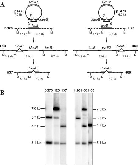 FIG. 3.