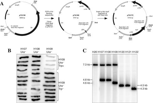 FIG. 6.