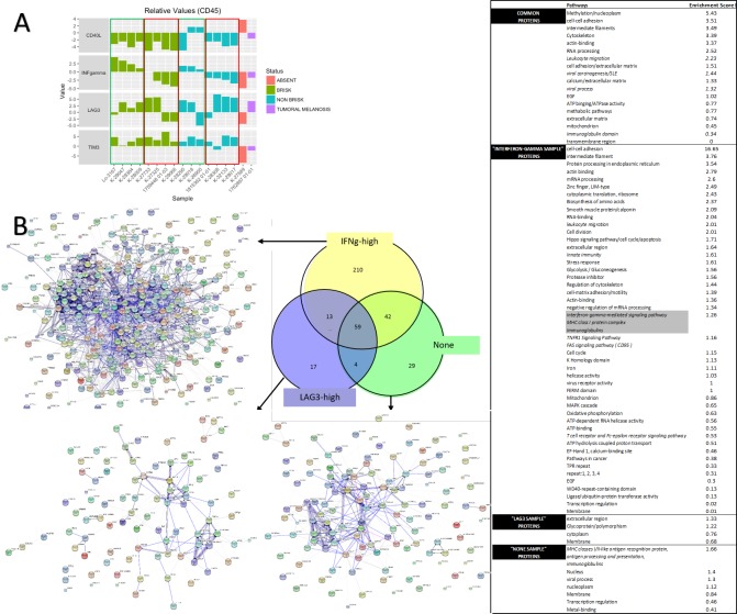 Figure 2—figure supplement 2.