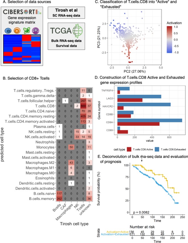 Figure 2—figure supplement 1.