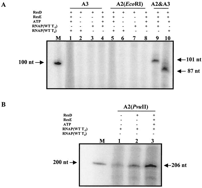 FIG. 7