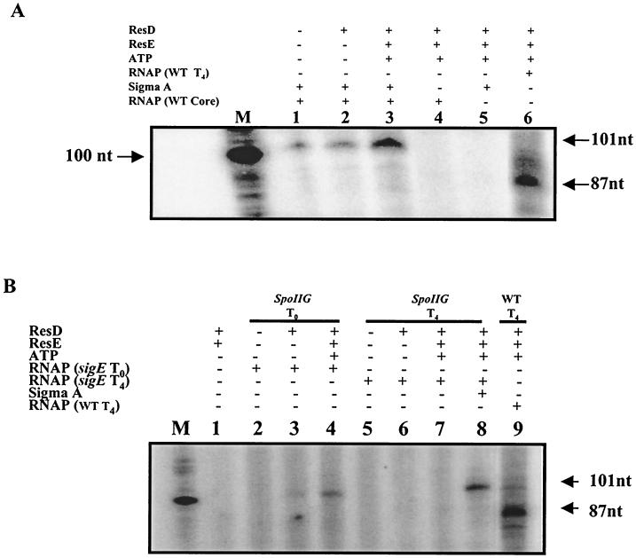 FIG. 6