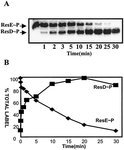 FIG. 1