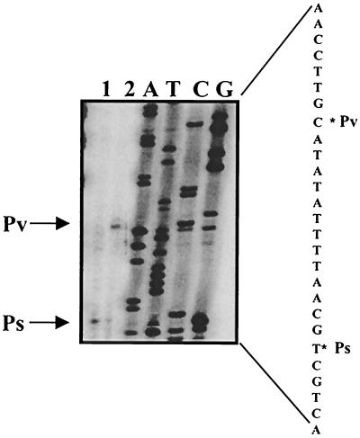 FIG. 5