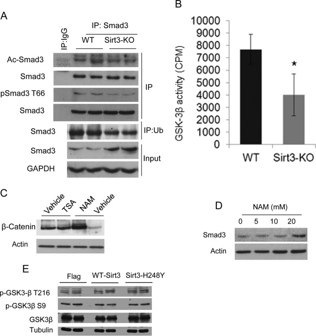 FIG 6