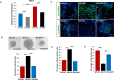 Figure 3—figure supplement 3.