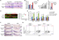 Figure 5—figure supplement 3.