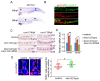 Figure 5—figure supplement 1.